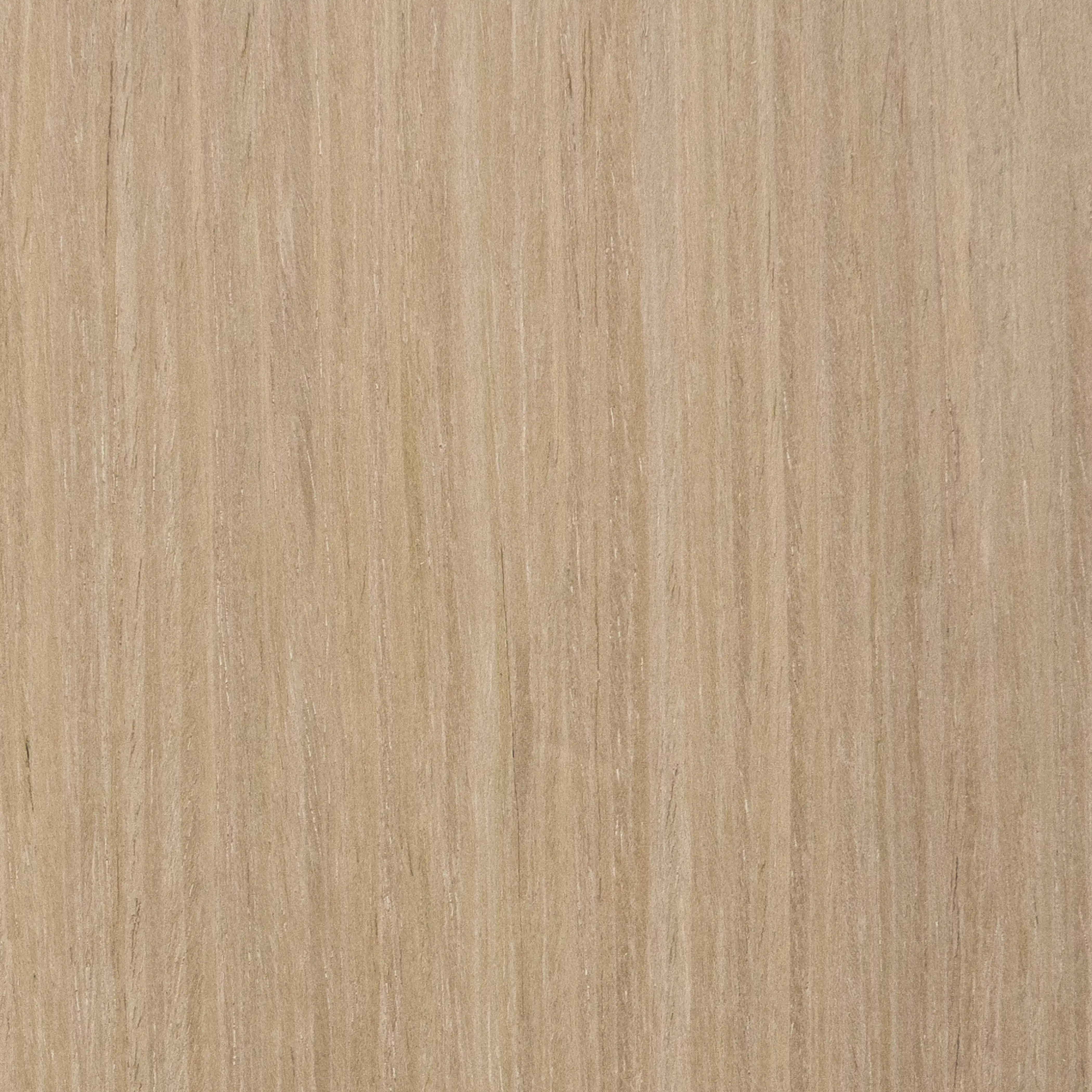 PLAANKED 3cm Wood Swatch | Silver Oak